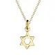 14K Gold Plated Children's Star of David Charm Necklace