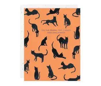 Black Cats - Halloween Card