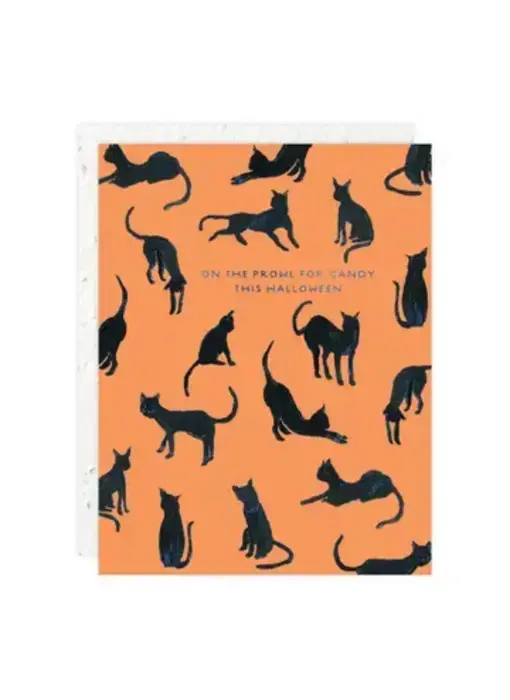 Black Cats - Halloween Card
