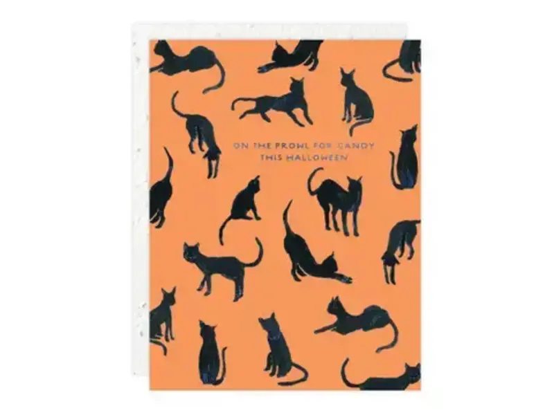 Seedlings Black Cats - Halloween Card