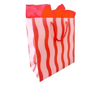Tangy Red Fussy Stripe Gift Bag
