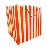 The Social Type Holiday Stripes Scallop Large Square Gift Bag