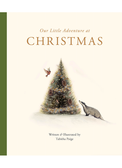 Our Little Adventure at Christmas
