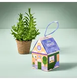 Modern Sprout Home Grown Ornament  Grow Peace - Lavender