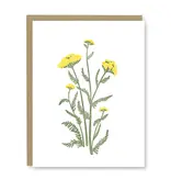 Kindred Letterpress Yarrow Wildflower Blank Card