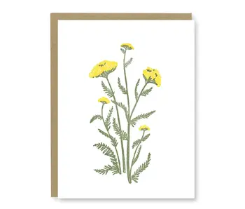 Yarrow Wildflower Blank Card