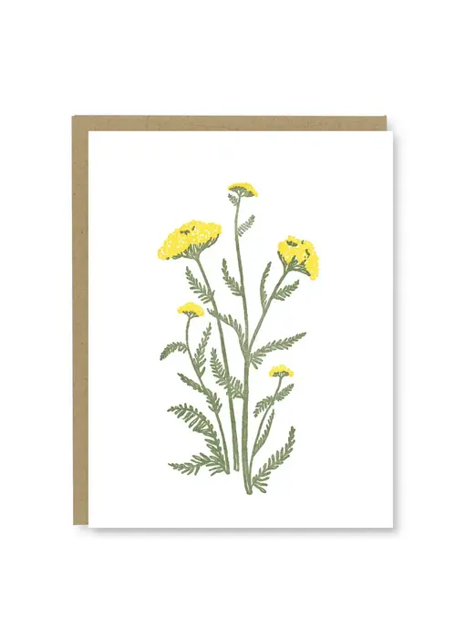 Yarrow Wildflower Blank Card