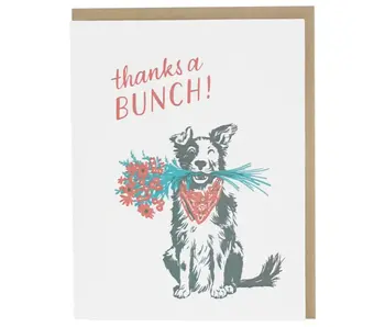 Border Collie Thank You Card
