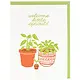 Plant Sprout Baby Card