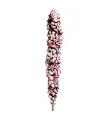 Melville Candy Company Peppermint Stirrers - Dark Chocolate