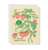 Red Cap Cards Another Year of Growth Birthday Greeting Card