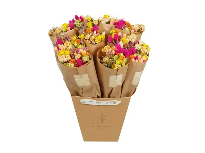 Penny + Clover Dried Flowers - Market Bouquet - Summer Crush (Single Bouquet)