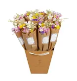 Penny + Clover Dried Flowers - Market Bouquet - Dutch (Single Bouquet)