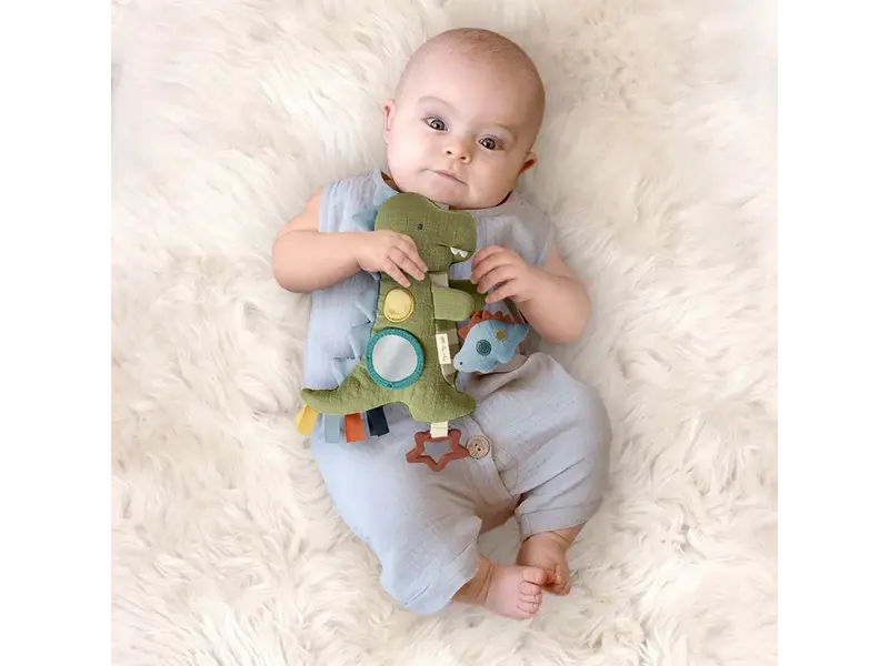 Itzy Ritzy Bitzy Traveler Dinosaur