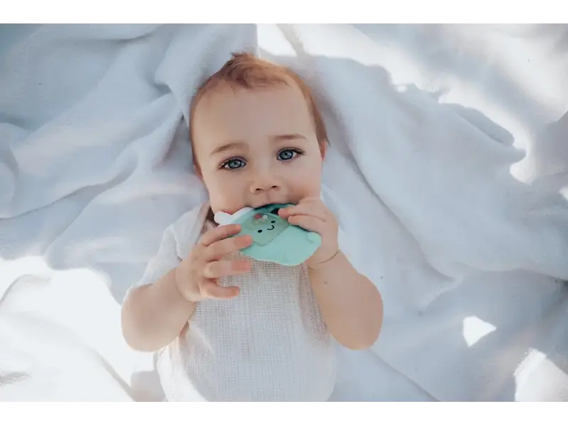 Itzy Ritzy Sweetie Shake Plus™ - Teething + Rattle Toy