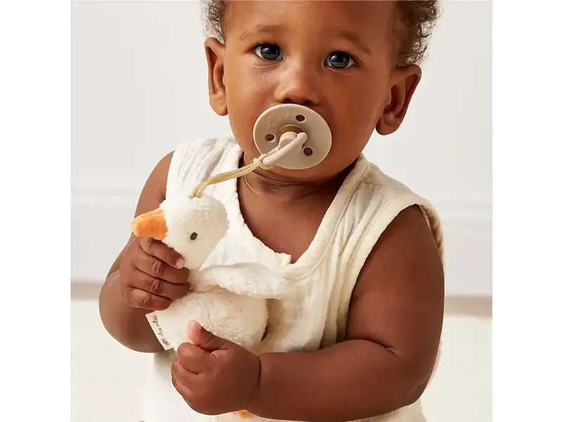 Itzy Ritzy Bitzy Pal Natural Rubber Pacifier & Plush Goose