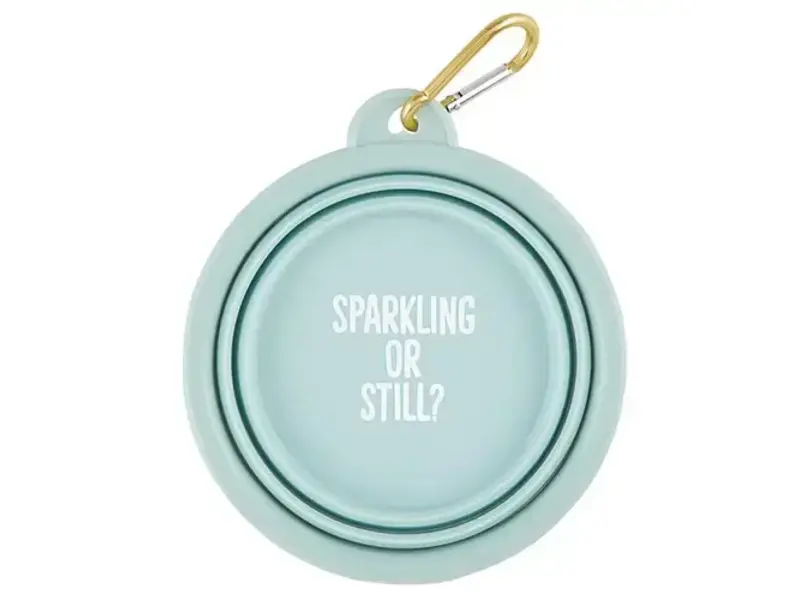 Santa Barbara Design Studio by Creative Brands Collapsible Bowl - Sparkling or Still?
