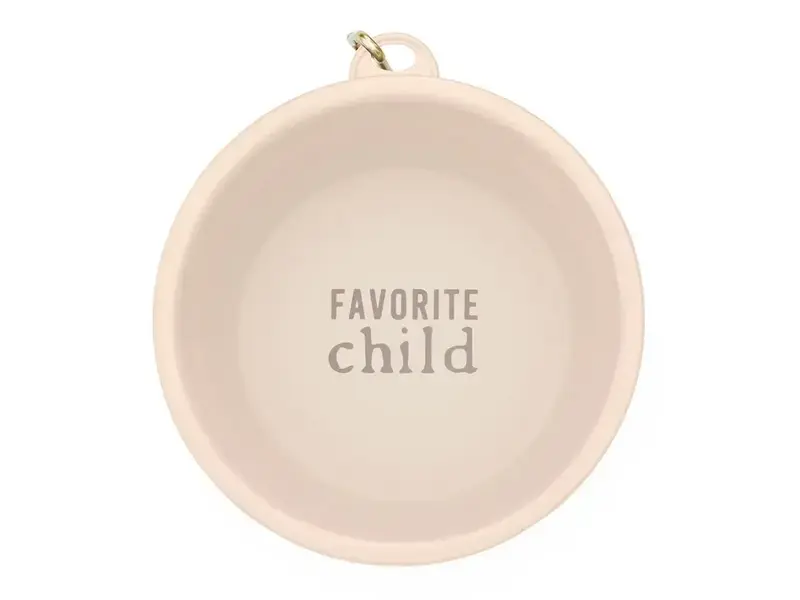 Santa Barbara Design Studio by Creative Brands Large Collapsible Bowl - Favchild