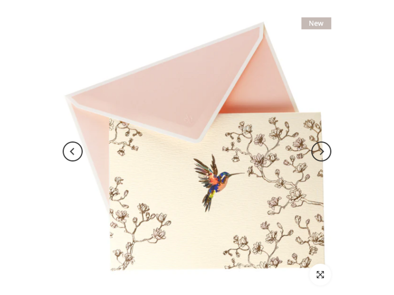 Graphique De France La Petite Presse Hummingbird Boxed Correspondence Notes