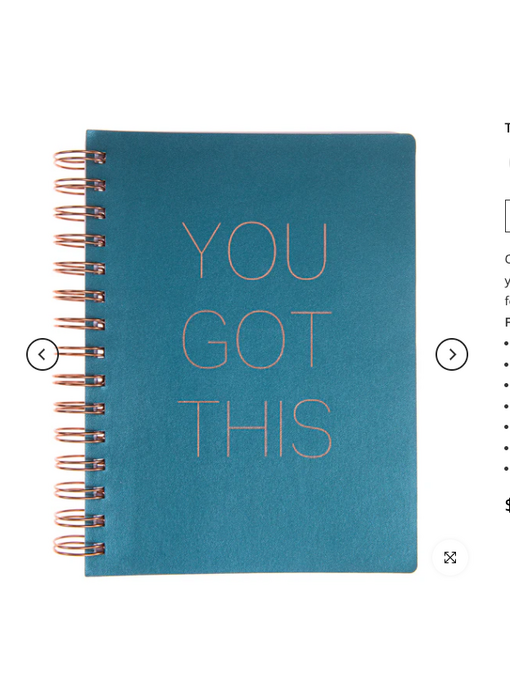 "You Got This" Teal Shimmer Vegan Leather Journal | Notebook | Planner