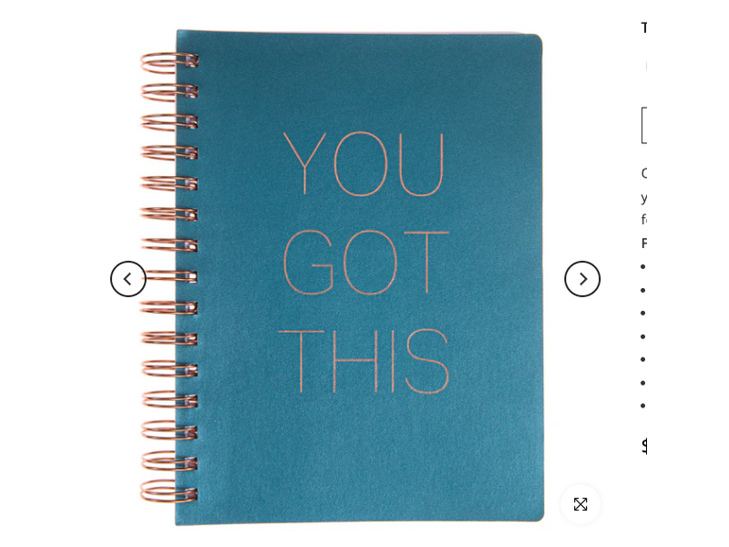 Graphique De France "You Got This" Teal Shimmer Vegan Leather Journal | Notebook | Planner