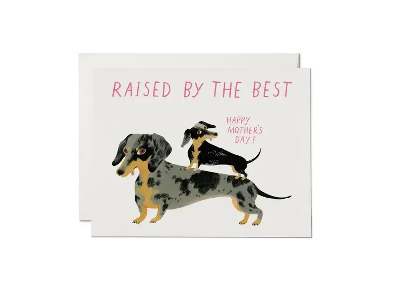 Red Cap Cards Raised by the Best Greeting Card