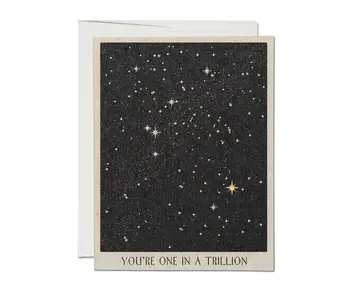 One in a Trillion Friendship Greeting Card