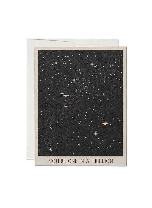 One in a Trillion Friendship Greeting Card
