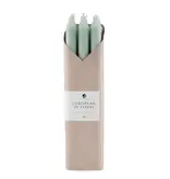 Northern Lights 12" Pistachio Taper Candles - 6 Pc