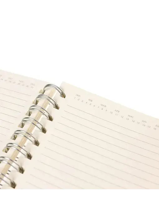 Apollo Collection Silver Vegan Leather Journal