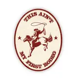 Big Moods This Aint My First Rodeo Sticker