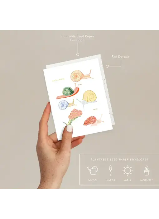 Snails - Just To Say Hi Card