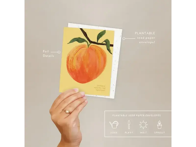 Seedlings Peach - Thank You Card