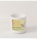 Vicinity Candles Vicinity Candle -  Chicago Awakening