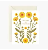 Botanica Paper Co. Calendula, My Sunshine  | Greeting Card