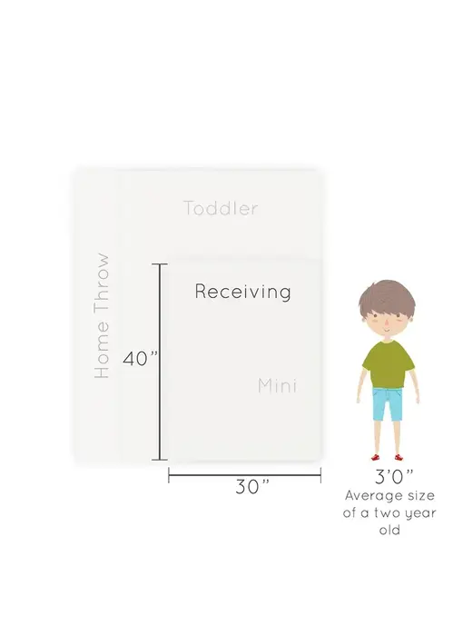 Superman™ Minky/Lush  Receiving Blanket