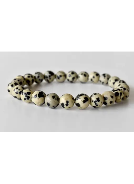 Dalmatian Jasper | Gemstone Bracelet (10mm)