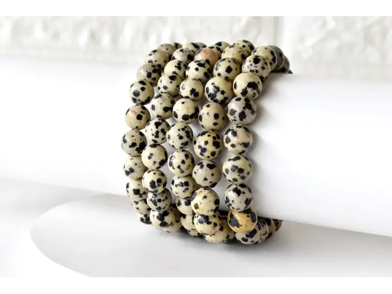 Soothing Crystals Dalmatian Jasper | Gemstone Bracelet (10mm)