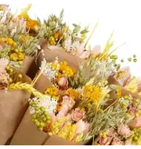 Penny + Clover Dried Flowers - Market Bouquet - Pink Lemonade (Single Bouquet)