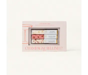 Champagne Bellini Mixer Kit