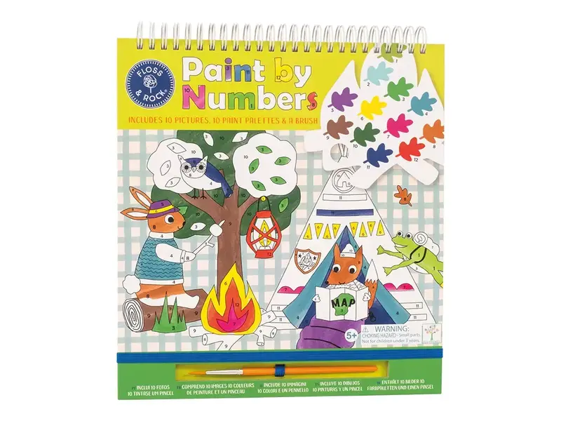 Floss and Rock Adventure Paint By Numbers