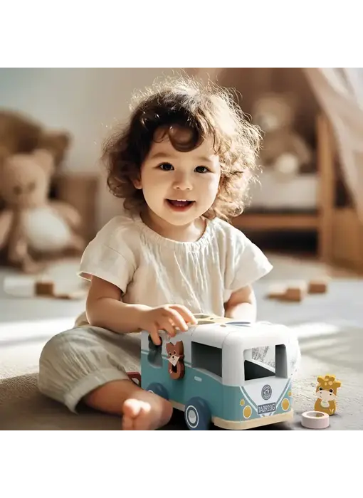 Van Shape Sorter