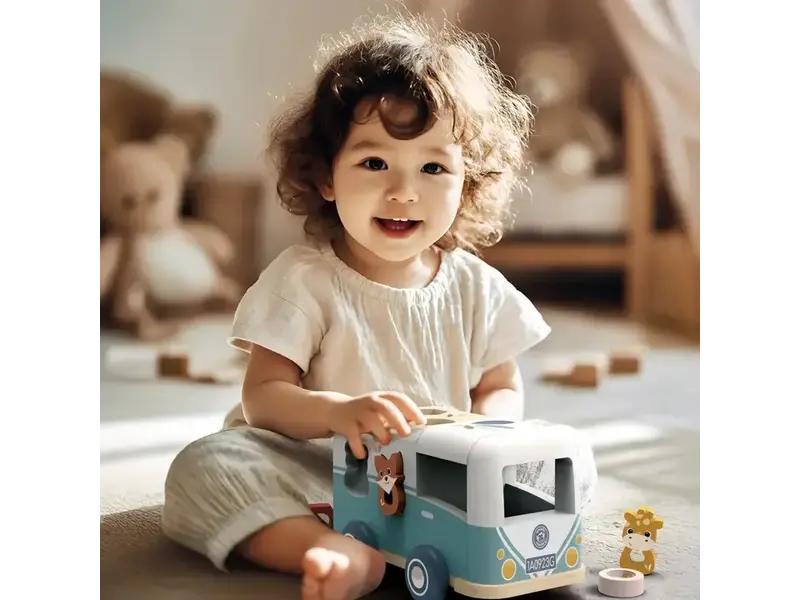 Speedy Monkey Van Shape Sorter