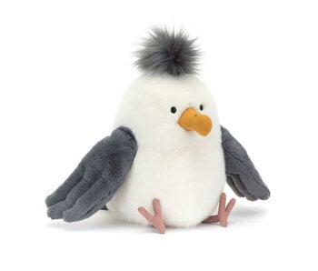 Chip Seagull