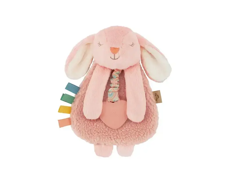 Itzy Ritzy Itzy Friends Lovey™ Plush - Ana Bunny