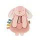 Itzy Friends Lovey™ Plush - Ana Bunny