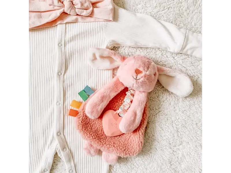 Itzy Ritzy Itzy Friends Lovey™ Plush - Ana Bunny