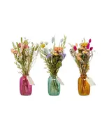 Penny + Clover Dried Flowers in Bottle Mix - Pastel