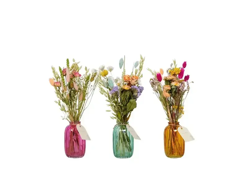 Penny + Clover Dried Flowers in Bottle Mix - Pastel