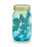 Modern Sprout Herb Garden Jar - Basil